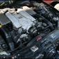 IMG_0850